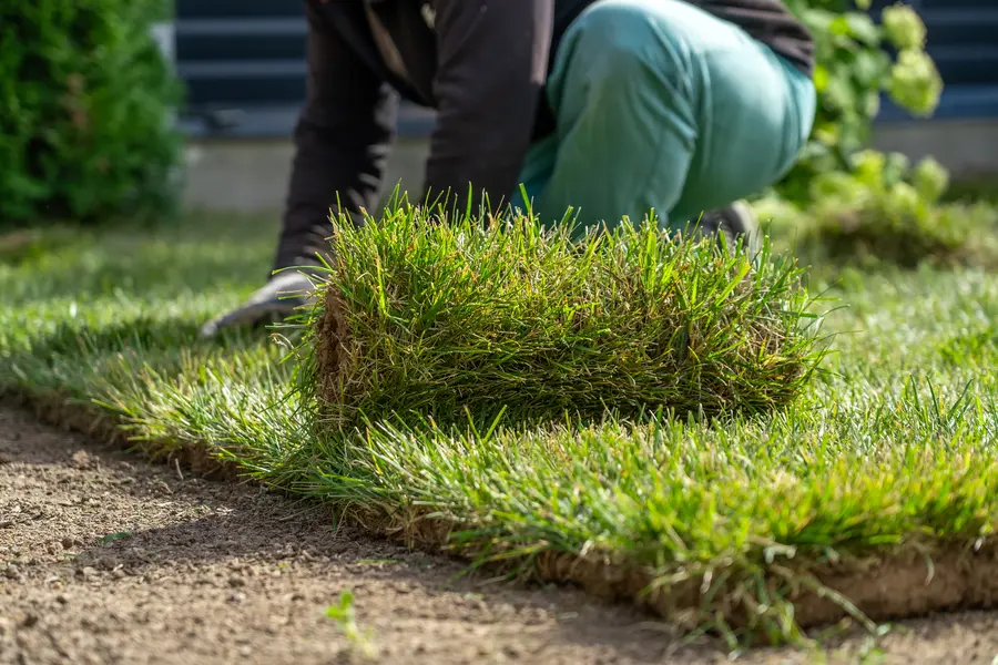 Grass Installation
